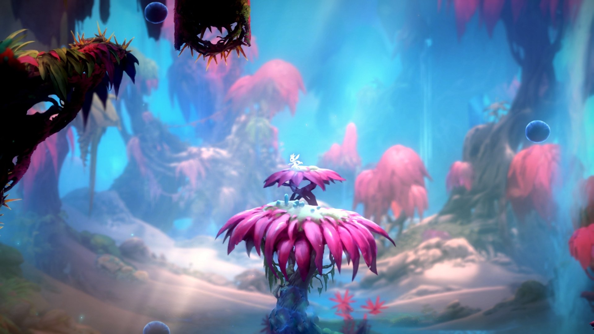 开云网页版登录入口-_明星主持加盟：赛事带来更多趣味互动_，主持人介绍明星开场白