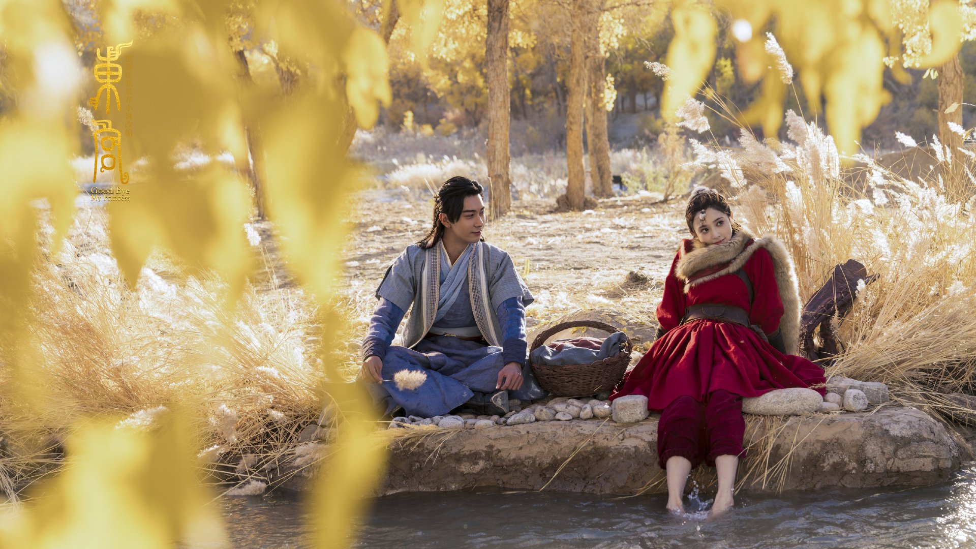 开云在线直播-城市艺术体操表演，运动与文化的精彩融合，城市艺术字体设计