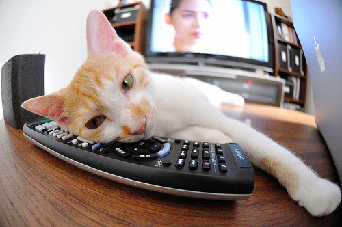 kaiyun-主场战胜对手，士气高涨，决赛成绩备受瞩目，主场迎战