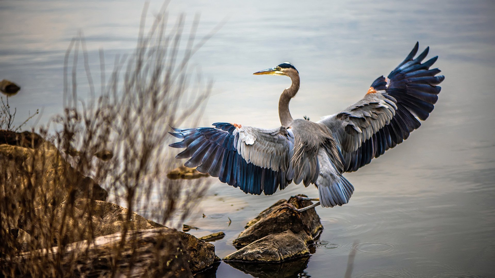 开云官方网站-瑞士队奋勇向前，意志坚定，瑞士队员最新名单