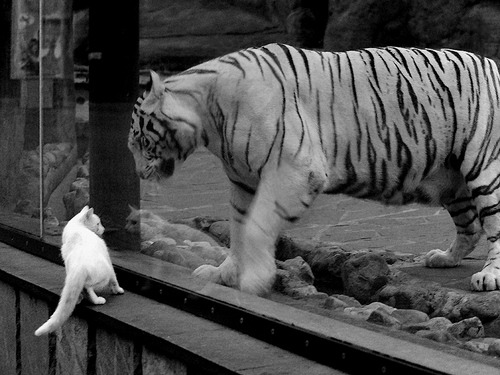 kaiyun登录入口-辽宁主场再胜,队员表现尽显实力抢下大胜！，辽宁队主场地址