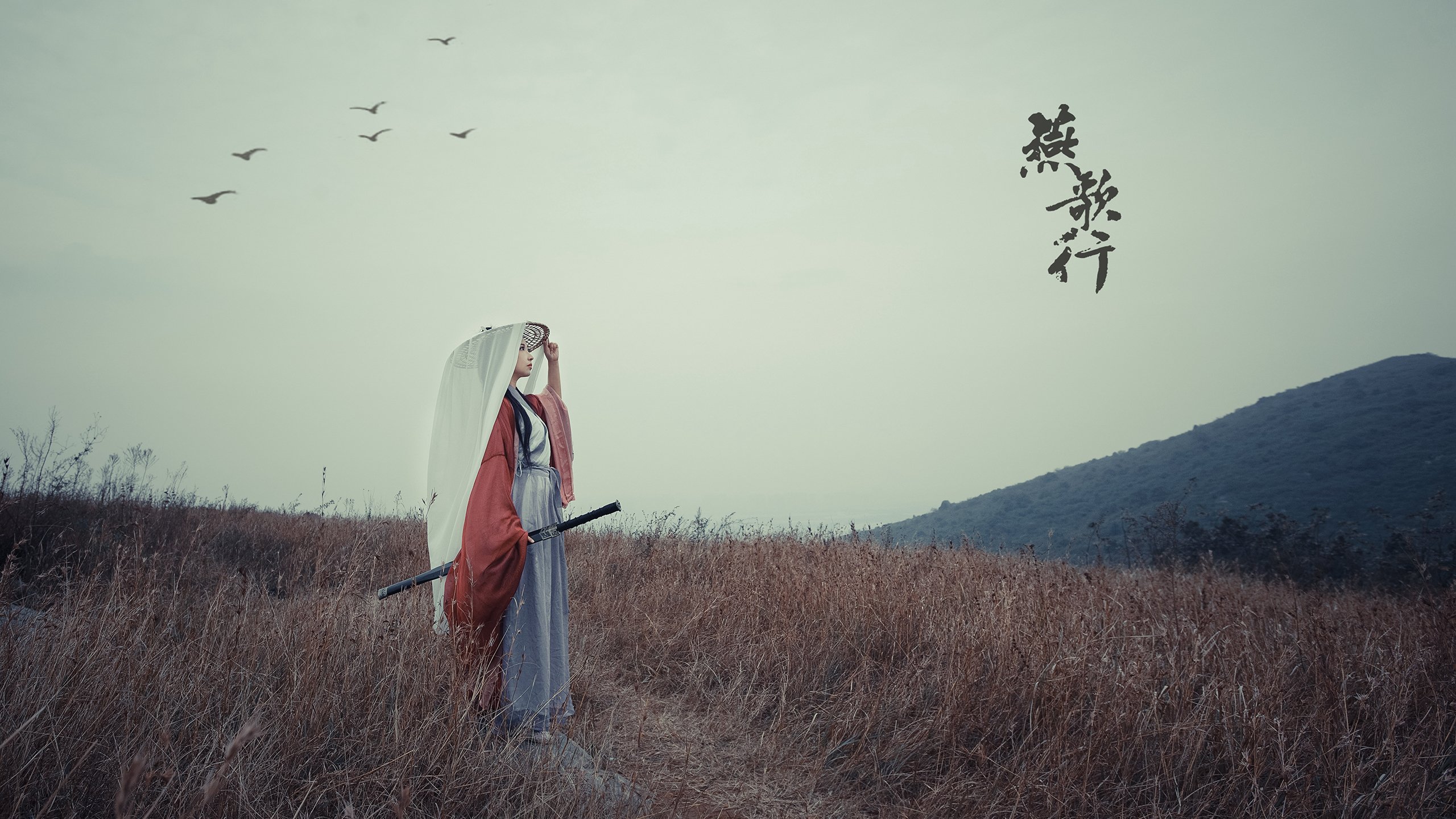 开云全站-体育市场发展前景分析，体育行业的市场分析